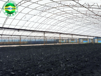 Fast delivery Potassium Humate Granular Manufacturer In China