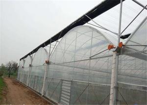 China Double Layer Plastic Film Greenhouse Comprehensive Protection Designed wholesale