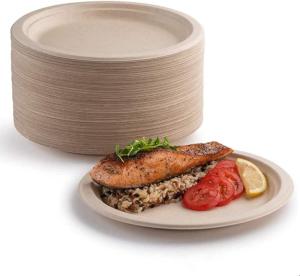 China Biodegradable Bagasse Disposable Plates For Birthday Wedding Picnic wholesale