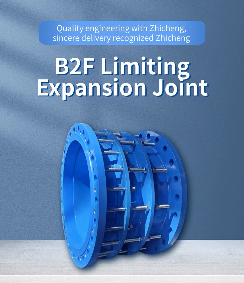High-pressure B2F Double Flange Expansion Joint for Petrochemical Pipelines Seismic Design of Expansion Joints for Metro Tunnel