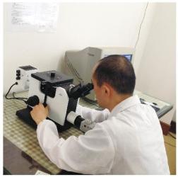 Changshu Seagull Crane&Hoist Machinery Co.,Ltd