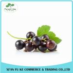 100% Natural Black Currant Fruit Powder