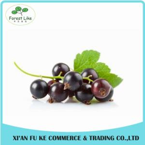 China 100% Natural Black Currant Fruit Powder wholesale