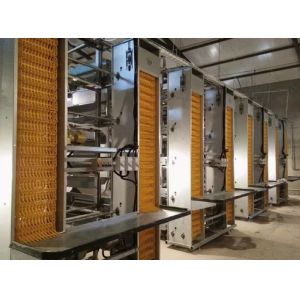 China Steel Structure Chicken Poultry House Chicken Farm Broiler Chicken House wholesale