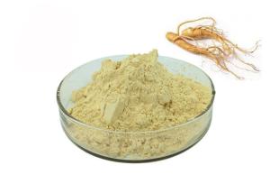 China 30% Ginsenosides Anti Aging Light Yellow Ginseng Extract Powder wholesale