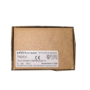 China IFM TN2531 TN-013KCBD10-MFRKG/US/ /V wholesale