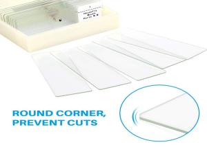 China Plant Disease Microscope Slide Set For Primary / Middle / High School wholesale