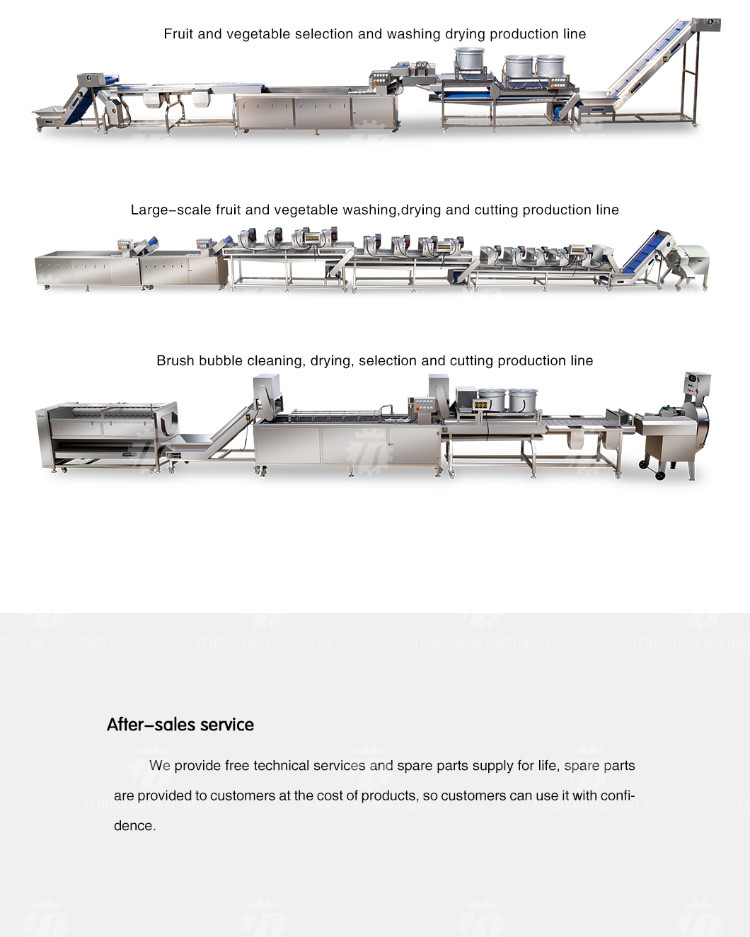 2KW Vegetable Processing Machine Stainless Steel Fruit Drying Selection Machine