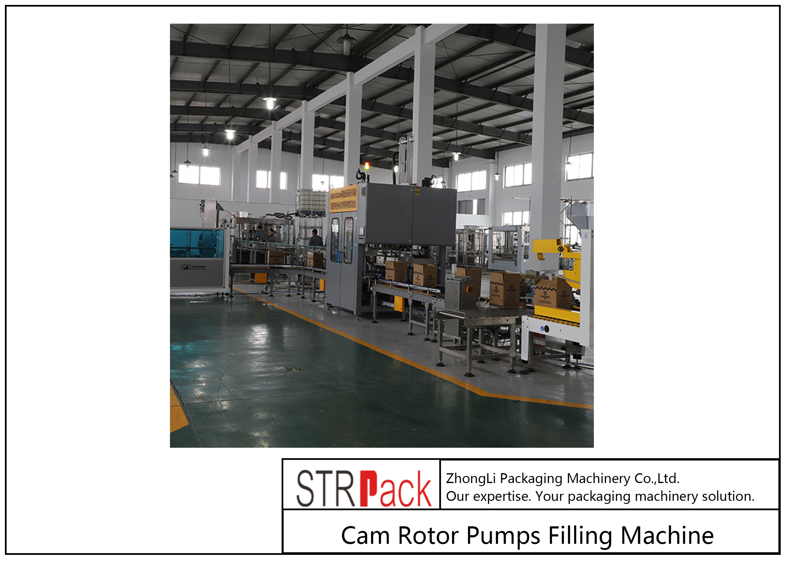PLC Touch Screen Control Case Packer Machine Pick And Place Type