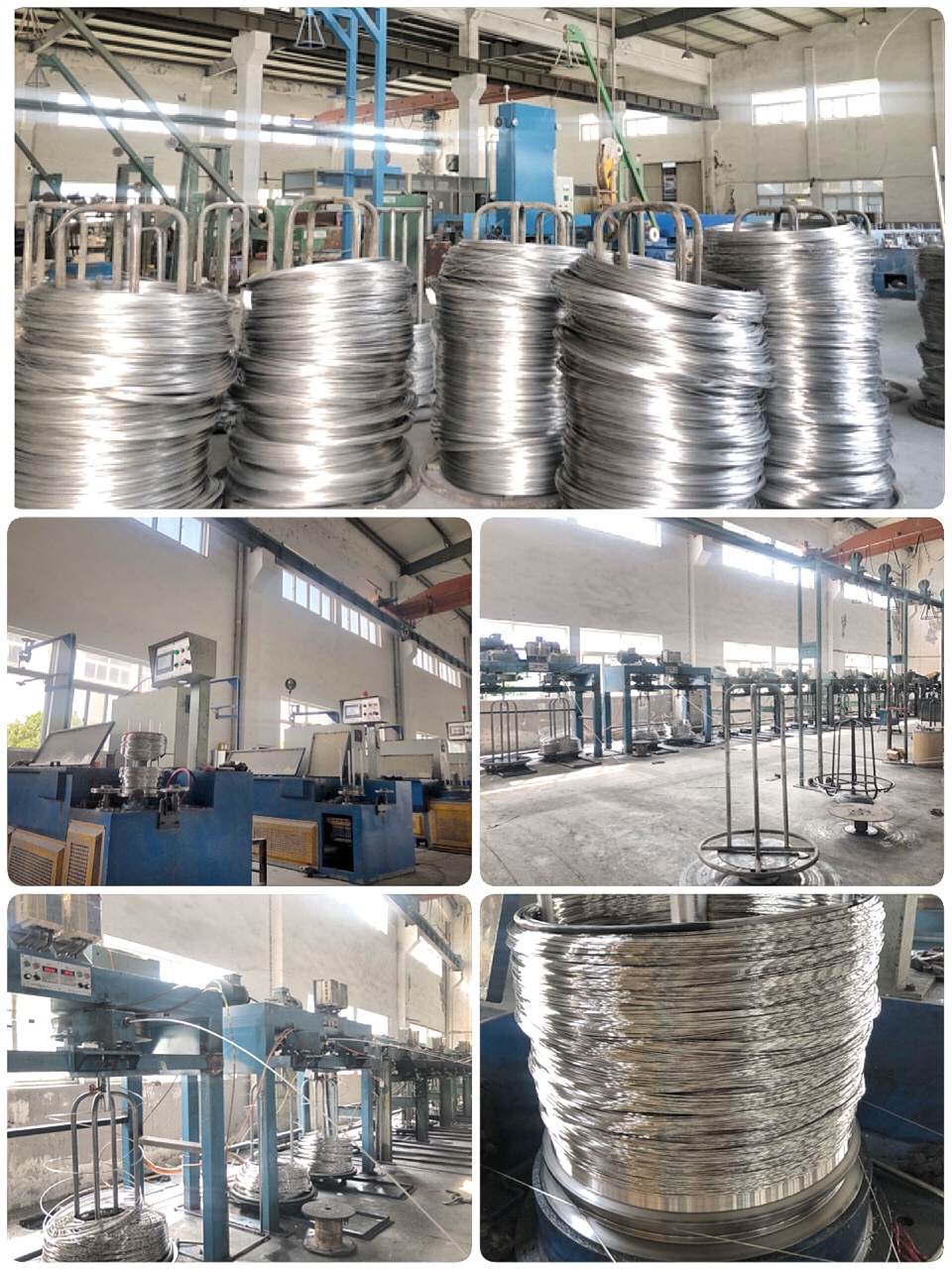 TOPONE Stainless Steel Straight Wire 302 0.25mmx30mm