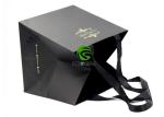 Storage Flower Ribbon Handle Gift Bags Custom Printing Strong Paper Carrier Bags