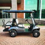 Black Free ODM OEM 4 Seater 4 Wheel Drive Golf Cart LED Lighting