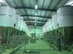 100HL Conical Fermenter Stainless Steel Brewing Unitank