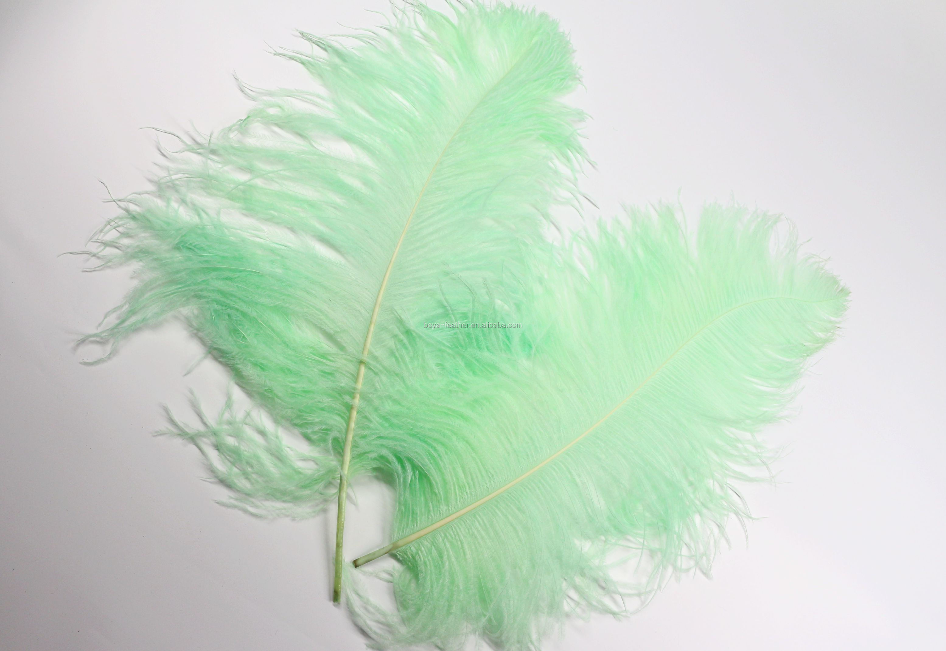 Carnival Costumes Decoration Millinery Feather , Ostrich Plume Feathers Multi Colored