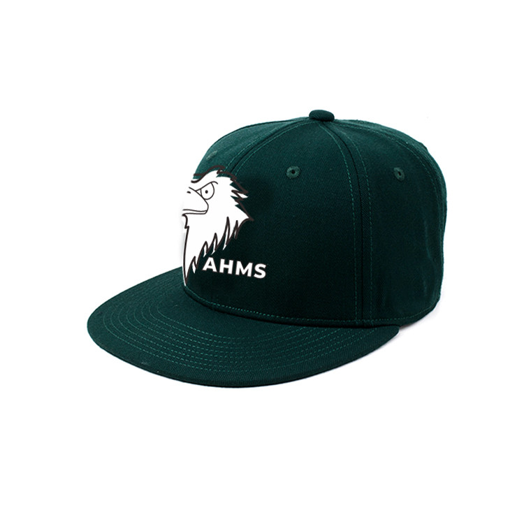 High quality Custom Made eagle printing Logo Printed Hip Hop Snapback Hats Caps