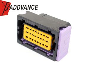 China 24 Way Female Sealed FCI Automotive Connectors With Terminals 211PC249S0005 wholesale