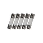 T10AH250V Cartridge Ceramic Fuse 5X20mm 10A 250V