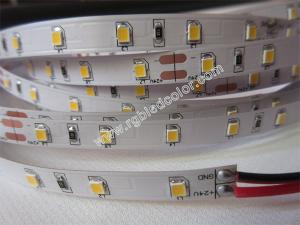 China 2835 led strip 24v 60led/m wholesale