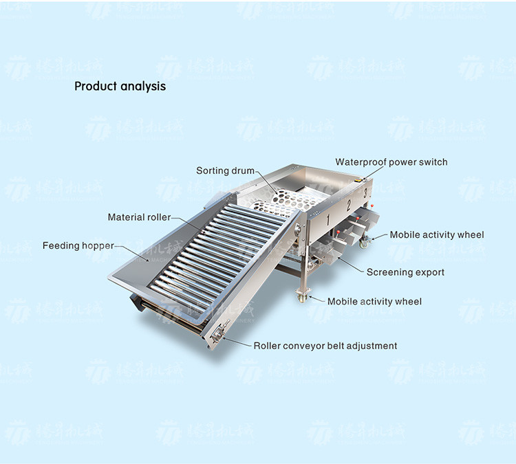 150KG 380V Lemon screening and grading machine stainless steel fruit sorting machine citrus fruit sorting machine