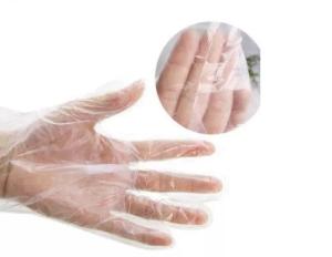 China Biodegradable Disposable Gloves , Disposable Plastic Gloves OEM / ODM Available wholesale