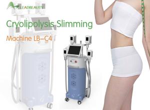 China cryolipolysis vacuum device/ machine/ equipment looking for distributors wholesale