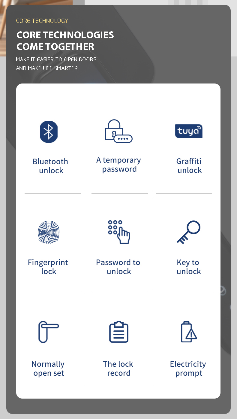 Zinc Alloy Tuya APP Smart Lock Password Keyless Electronic Home Door Lock