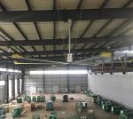 House Hanging 12FT 0.3KW High Volume Low Speed Fans