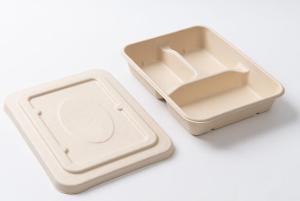 China One Time Use Dinner Plate Biodegradable Food Containers Compostable wholesale
