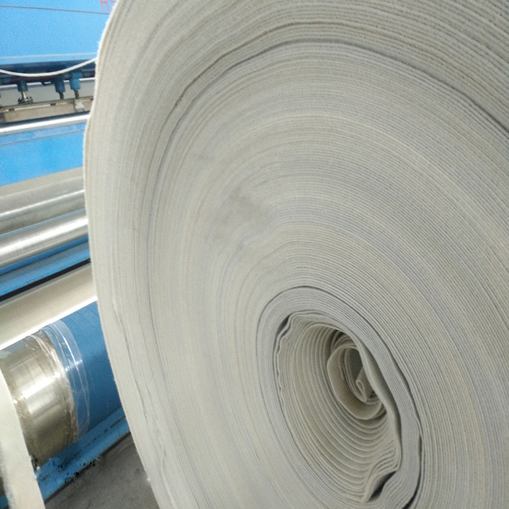 300g 400g 600g Geotextile Fabric Best Standard Needle Punched for Soil Stabilization