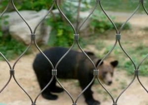 China Stainless Steel Zoo Mesh wholesale