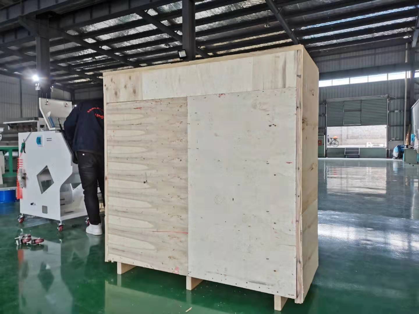 220V/50Hz Cashew Colour Sorting Machine New Design Unmatched Performance