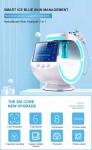 Multifunction Professional Oxygen Facial Machine 110v ,150AV Face Peeling