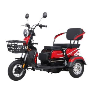Double Row Small Household Elderly Pick Up Leisure Electric Tricycle