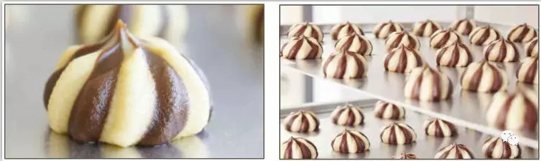 Type 600mm servo motor cookie machine with S/S with non-sitcked tray in food shop or food factory