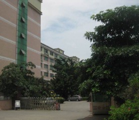 Shenzhen Boyear watch co.,ltd