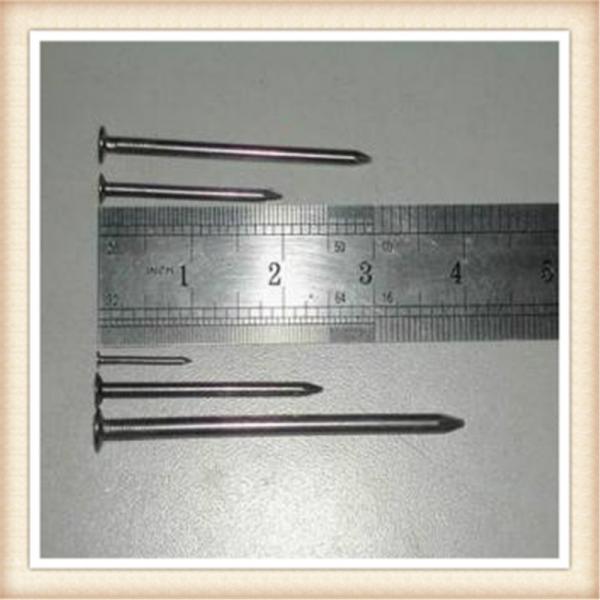 common nails,2.5' 500mm roofing nailscommon nails/Common Wire Nails
