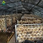 Snow Resistant Fully Light Deprivation Mushroom Auto Greenhouse With Hydroponic