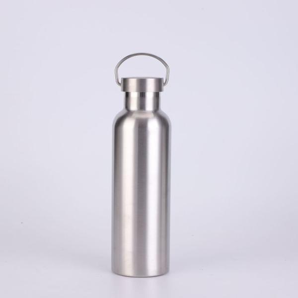 17 oz Stainless Steel Sports Water Bottle Insulated Reusable Water Bottles with Handle Metal Bottle for Hikers Gift
