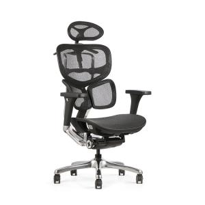 China Manager Task Mesh Chairs Torsion Knobs Adjustable Lumbar OEM wholesale