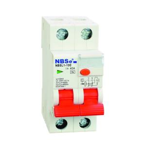 China IEC61009 32 Amp Standard Rcbo Residual Current Circuit Breaker wholesale