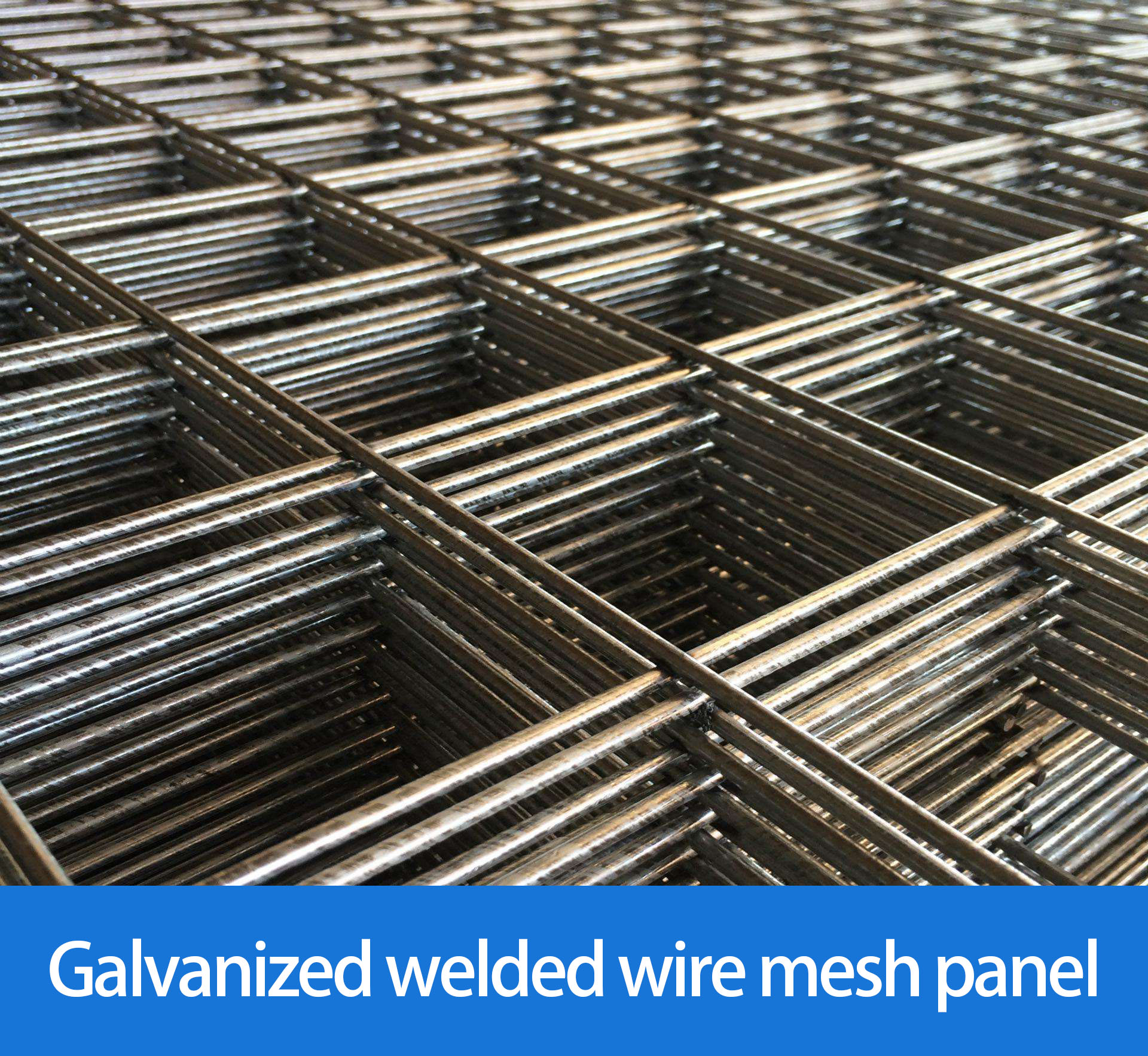 Special Design Widely Used 1/4"x 1/4" Hot Dipped Galvanized Welded Wire Mesh Roll