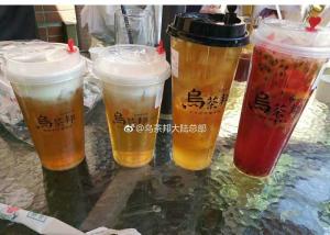 China Pp Material Water Disposable Plastic Cups FDA / BSCI Certification wholesale