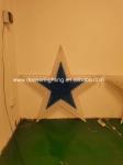 large lighted christmas star