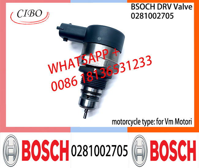 BOSCH DRV Valve 0281002705 Control Valve 0281002705 for Vm Motori