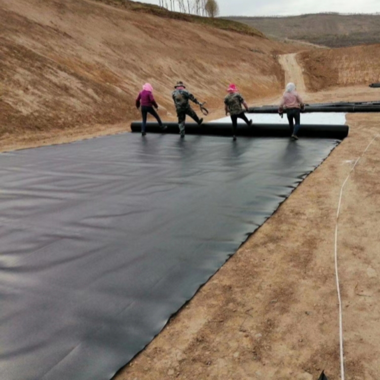 Smooth Geomembrane Fish Pond Lining Impermeable Membrane for Modern Design Directly