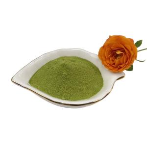 China Natural Growth Seaweed Extract Fertilizer 40% Seaweed Polysaccharides Green Powder wholesale