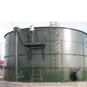 N2O Gobar Gas Balloon Biogas Plant Project Anaerobic Digestion Tank