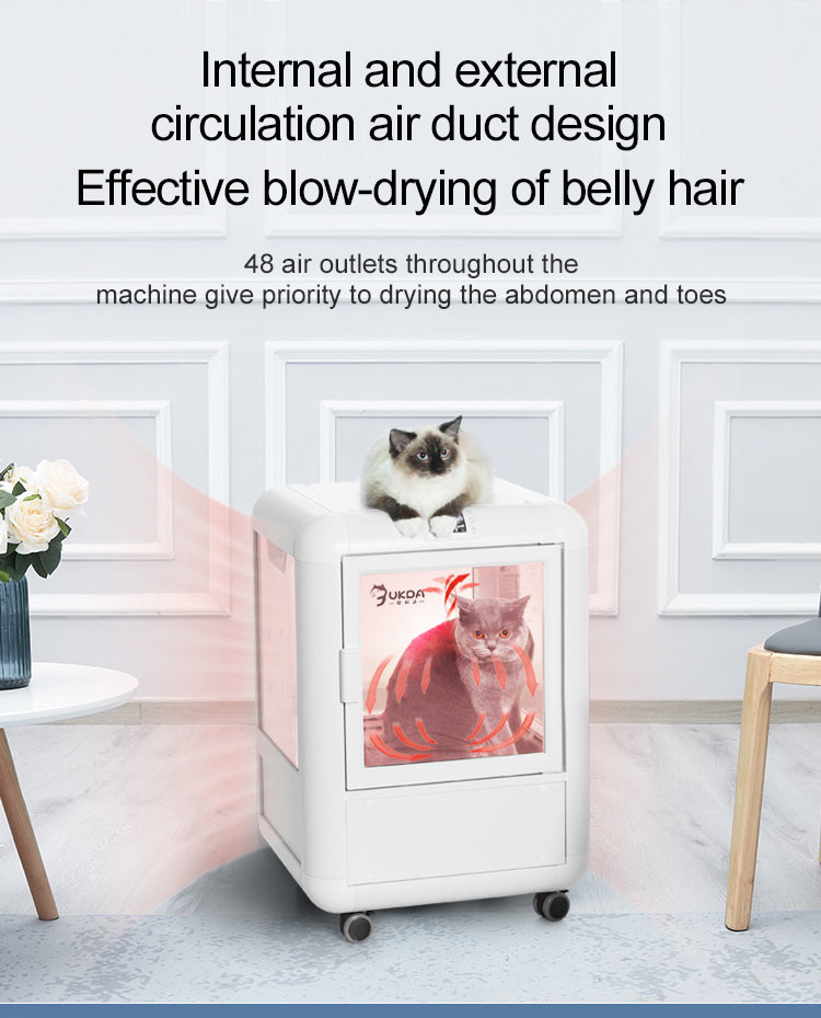 220V 1650W PET Drying Room Spa Care , Low Noise Pet Hair Dryer Box