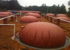 China Household Biogas Digester Tank Clean Energy Saving Biogas Reactor wholesale