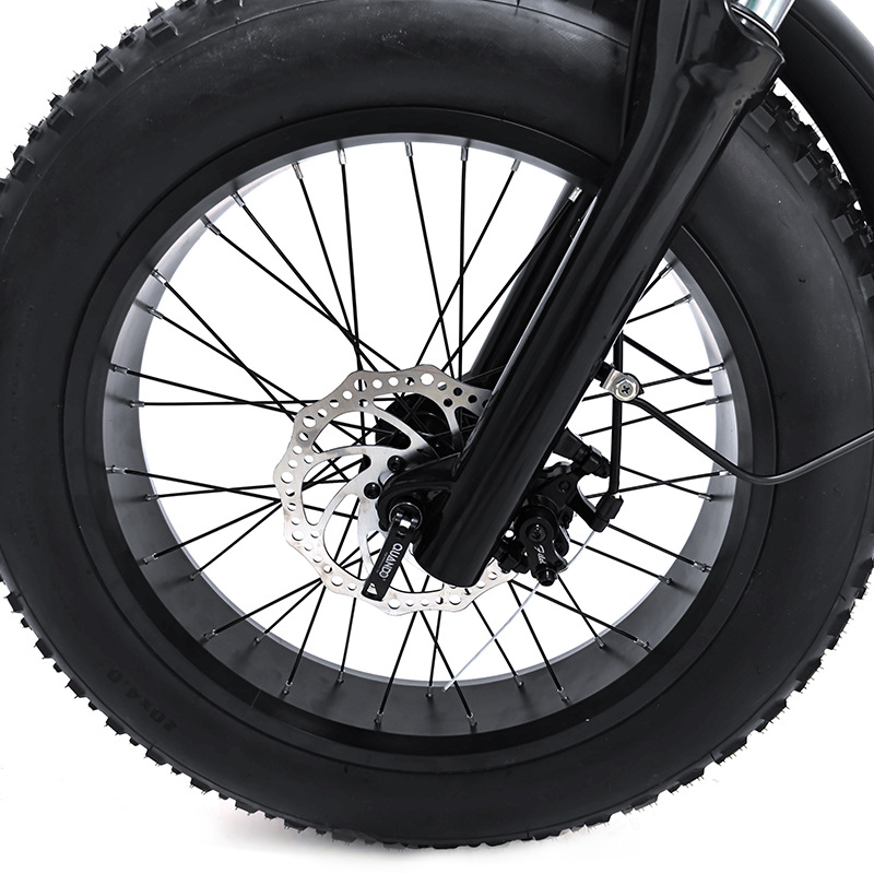 48V 500W City Bike Long Range Retro E-Bike with Powerful Lithium Battery and Disc Brake